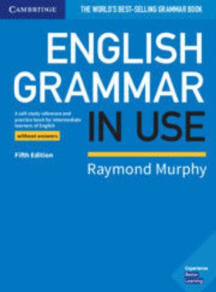Picture of English Grammar in Use Book without Answers